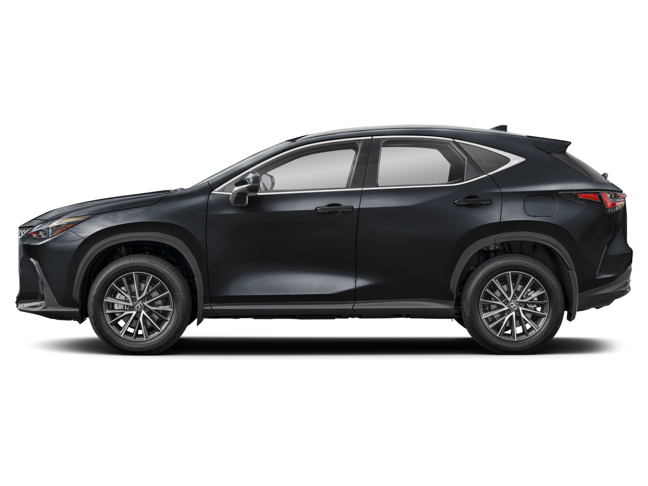 2023 Lexus NX 350h Premium photo 2