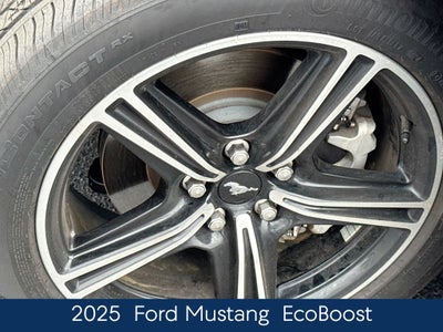 2025 Ford Mustang EcoBoost