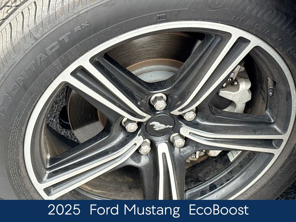 2025 Ford Mustang EcoBoost