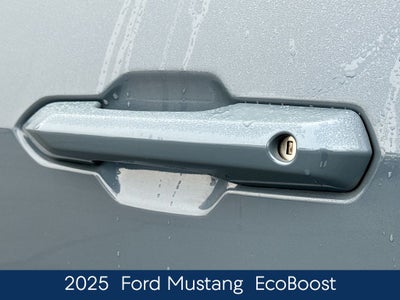 2025 Ford Mustang EcoBoost