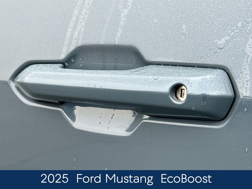 2025 Ford Mustang EcoBoost