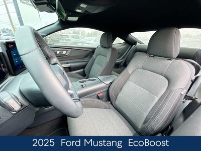 2025 Ford Mustang EcoBoost