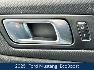 2025 Ford Mustang EcoBoost