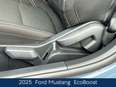 2025 Ford Mustang EcoBoost