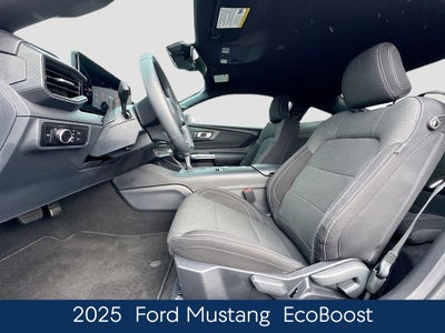 2025 Ford Mustang EcoBoost