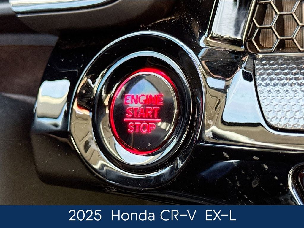 2025 Honda CR-V EX-L