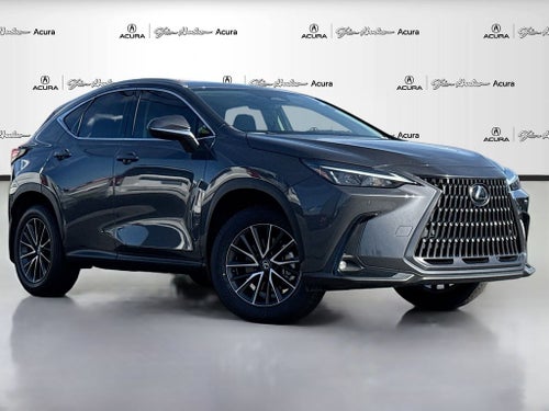 2024 Lexus NX 250 Premium