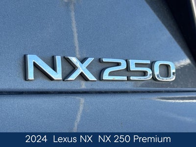 2024 Lexus NX 250 Premium