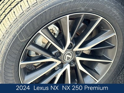 2024 Lexus NX 250 Premium