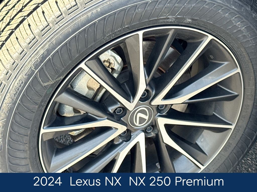 2024 Lexus NX 250 Premium