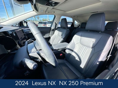 2024 Lexus NX 250 Premium