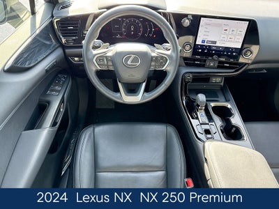 2024 Lexus NX 250 Premium