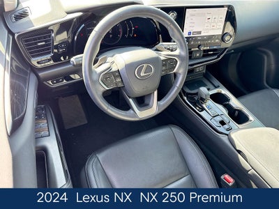 2024 Lexus NX 250 Premium