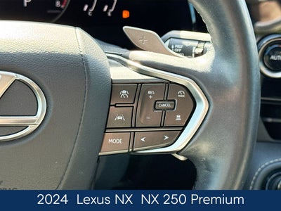2024 Lexus NX 250 Premium