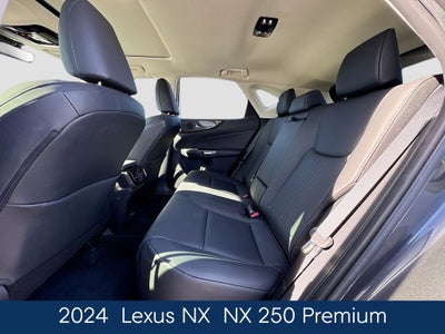 2024 Lexus NX 250 Premium