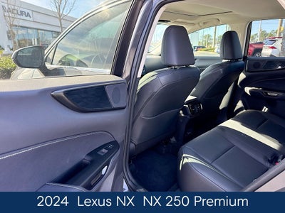 2024 Lexus NX 250 Premium