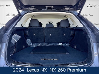 2024 Lexus NX 250 Premium