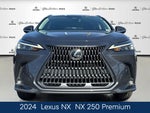 2024 Lexus NX 250 Premium