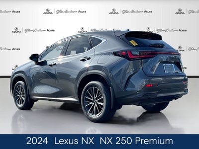 2024 Lexus NX 250 Premium