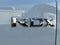 2024 Acura RDX Technology Package SH-AWD