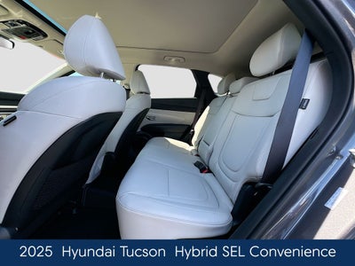 2025 Hyundai Tucson Hybrid SEL Convenience