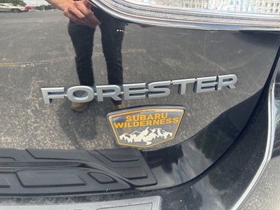 2023 Subaru Forester Wilderness