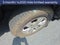 2020 Ford Ranger XLT BLUE CERTIFIED TECH PACKAGE LEATHER