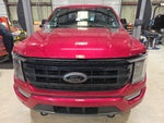 2023 Ford F-150 Platinum CERTIFIED NAVI PANO ROOF FX4