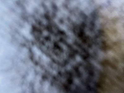 2021 Lexus RX 350 L/CERTIFIED