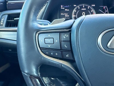 2019 Lexus ES 350 Luxury BACKED BY HUDSON