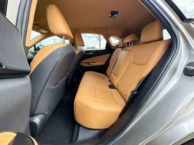 2023 Lexus NX 250 Base L/CERTIFIED