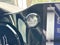 2024 Lexus NX 250 Premium L/CERTIFIED