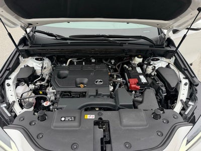 2024 Lexus NX 250 L/Certified Unlimited Mile Warranty