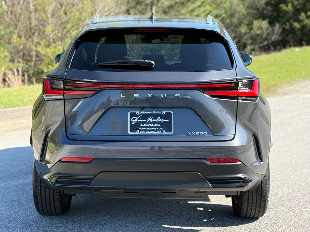 2024 Lexus NX 250 Premium