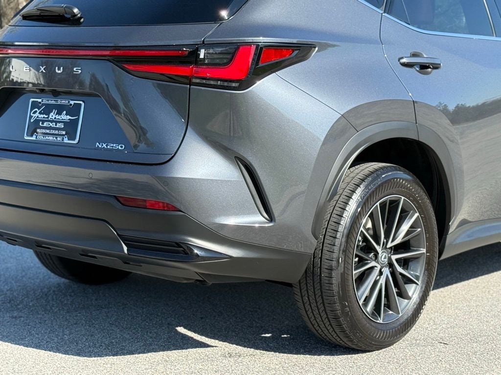 2024 Lexus NX 250 Premium