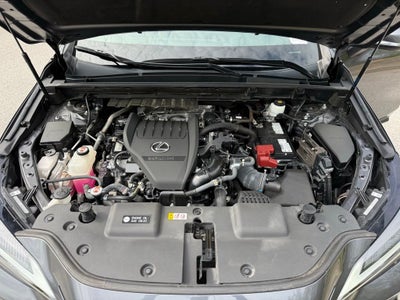 2024 Lexus NX 350 Premium