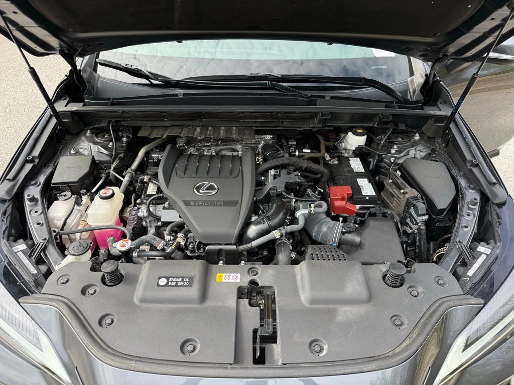 2024 Lexus NX 350 Premium