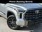 2023 Toyota Tundra Platinum 14-in. Toyota Audio Multimedia w/ Apple CarPlay an