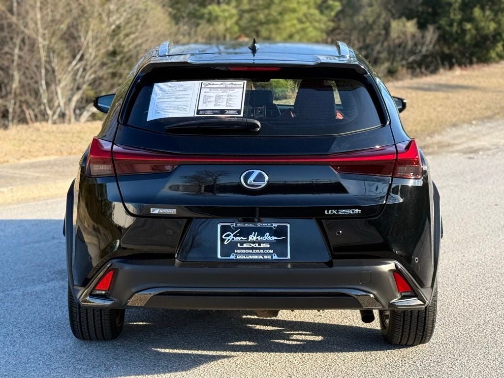 2019 Lexus UX 250h F SPORT