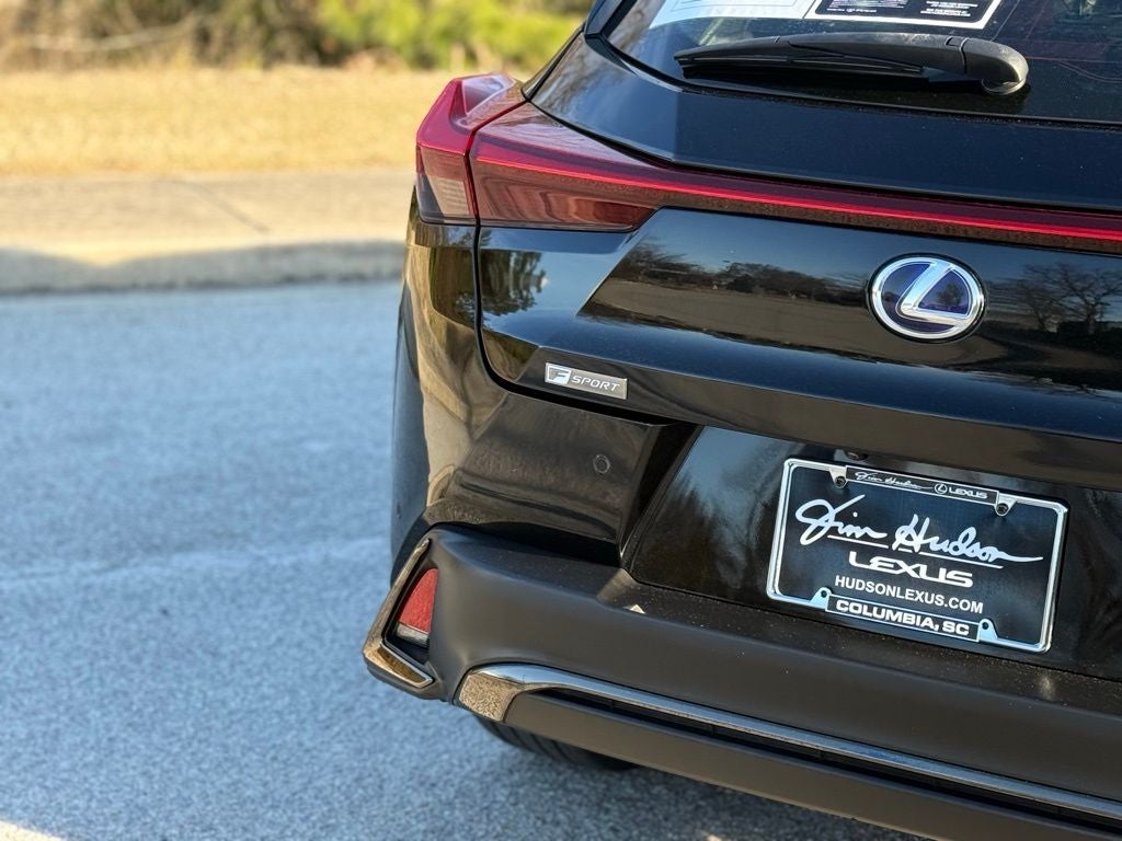 2019 Lexus UX 250h F SPORT