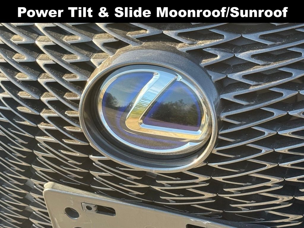 2019 Lexus UX 250h F SPORT