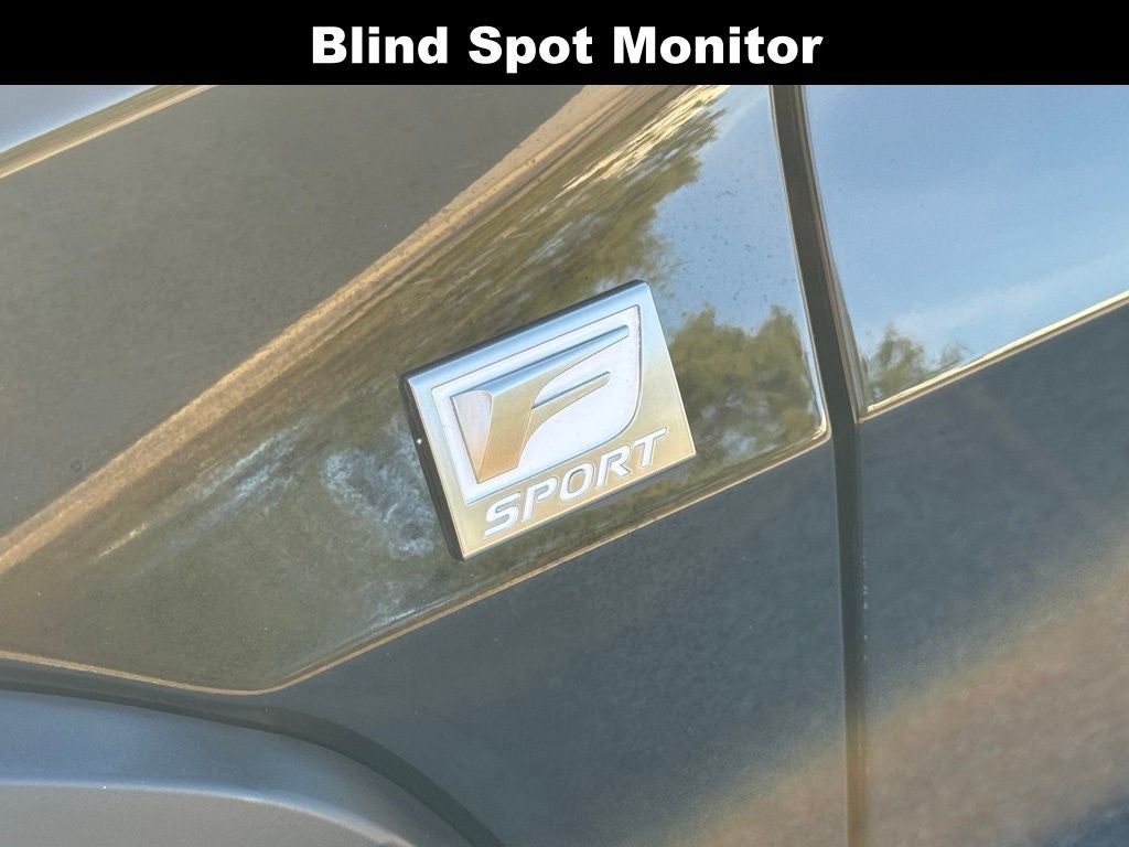 2019 Lexus UX 250h F SPORT