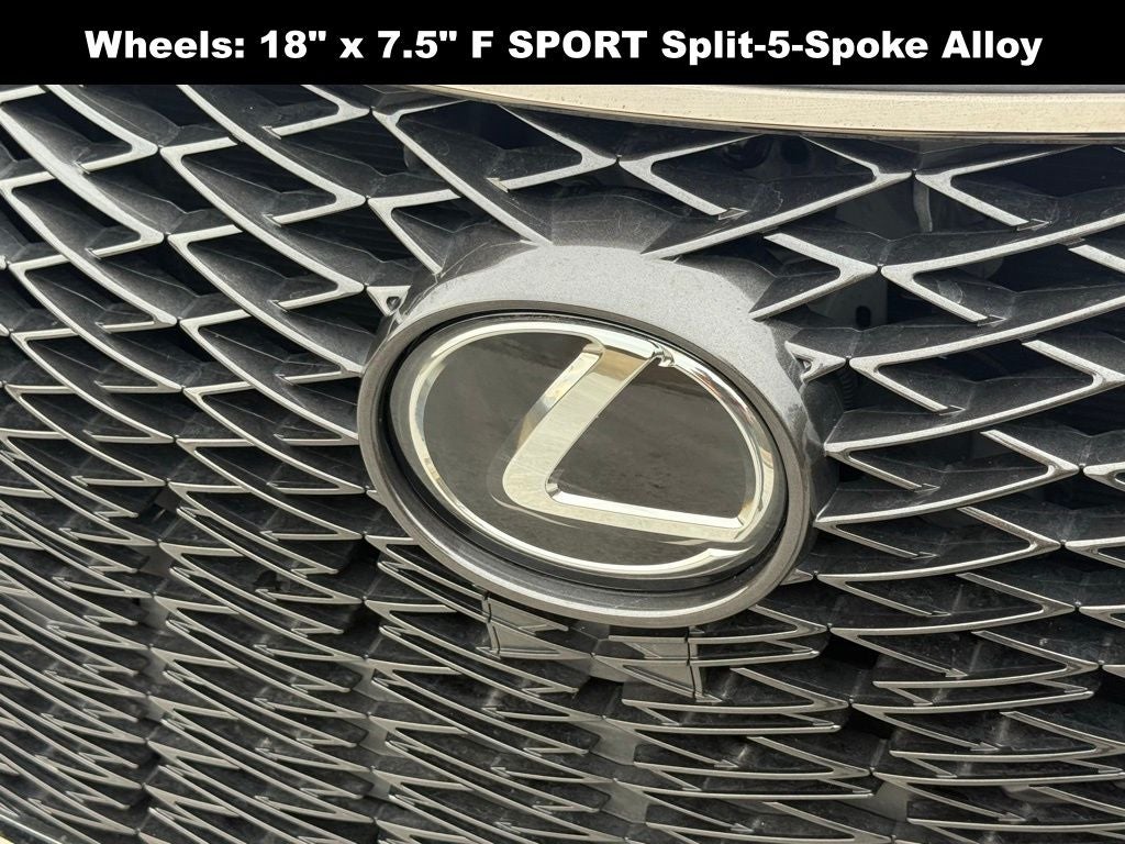 2019 Lexus NX 300 F Sport