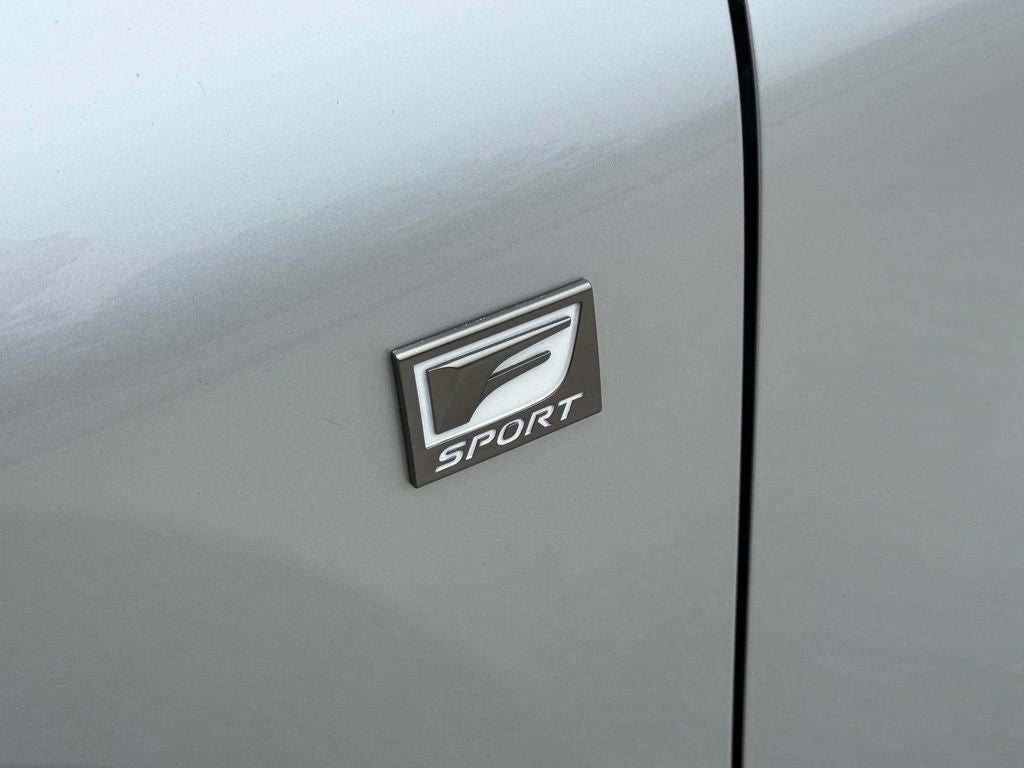 2019 Lexus NX 300 F Sport