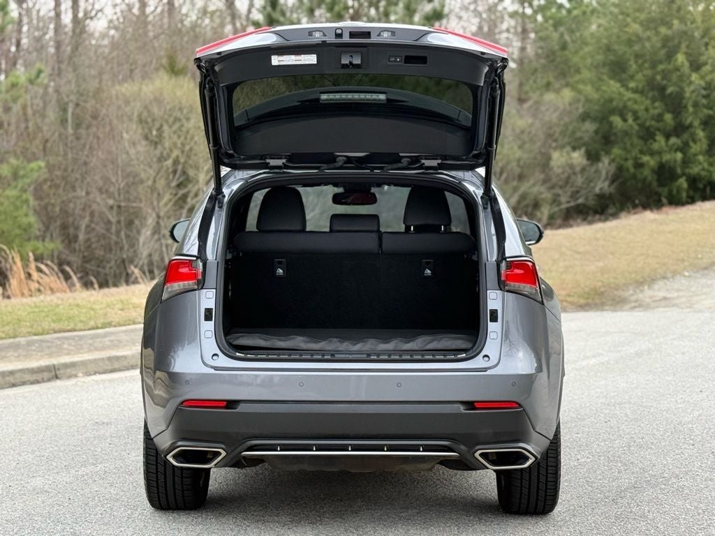 2018 Lexus NX 300 F Sport