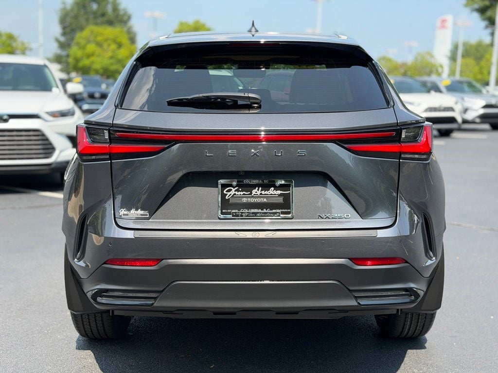 2024 Lexus NX 250 Premium