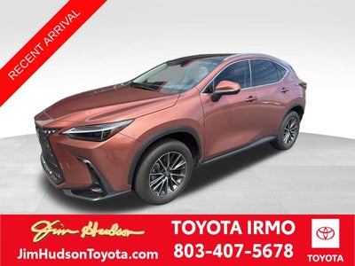 2025 Lexus NX 350h Luxury