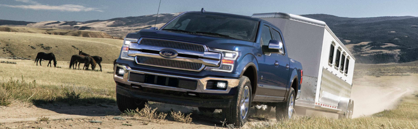 2019 Ford F-150 Towing a Horse Trailer